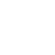 icon_integrity